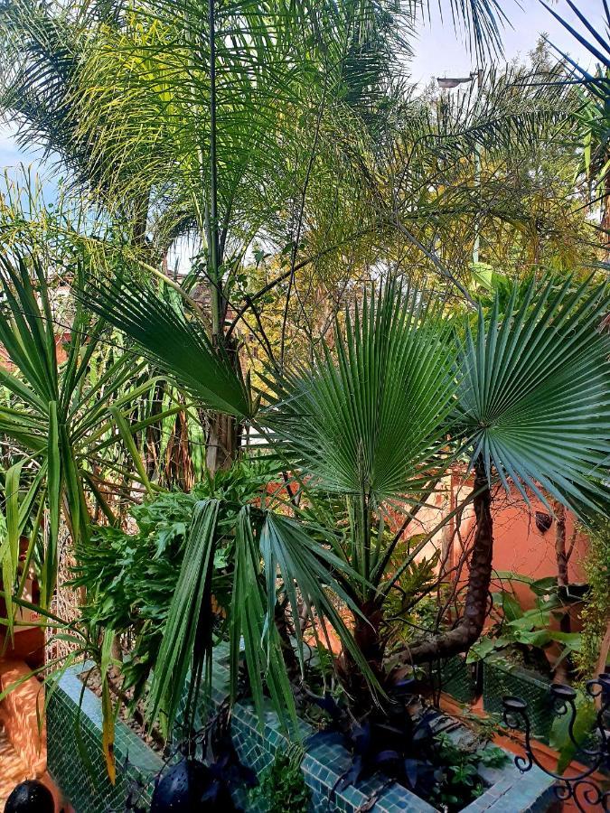 Villa Amira & Spa Marrakesh Eksteriør bilde
